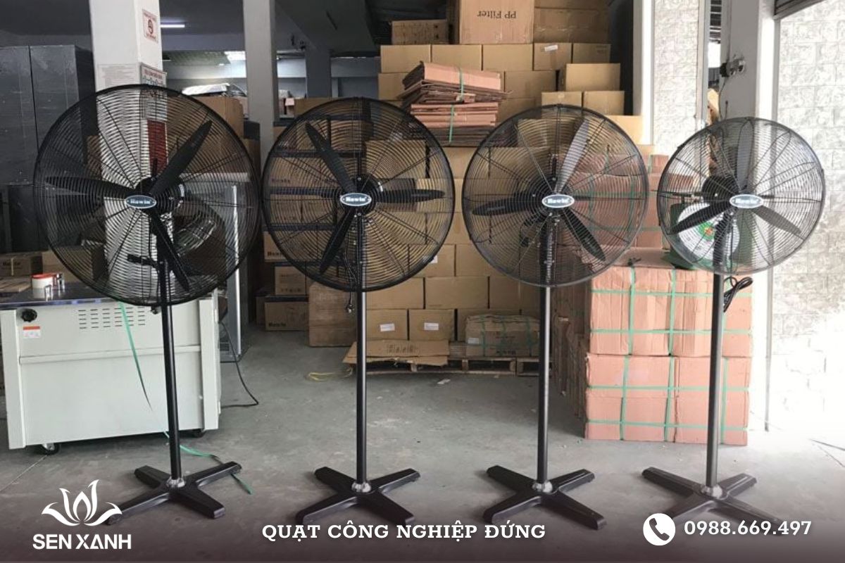 Trải nghiệm chất lượng dịch vụ và sản phẩm tốt nhất