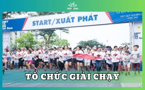 Cho thuê thiết bị sự kiện - TỔ CHỨC GIẢI CHẠY